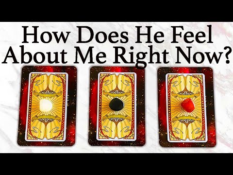 💕WHAT DOES HE/SHE THINK AND FEEL ABOUT ME RIGHT NOW?💕| 🔮Pick A Card🔮 | Love Tarot Reading (Timeless)