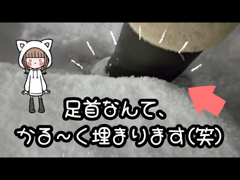 これでも雪は減りました。