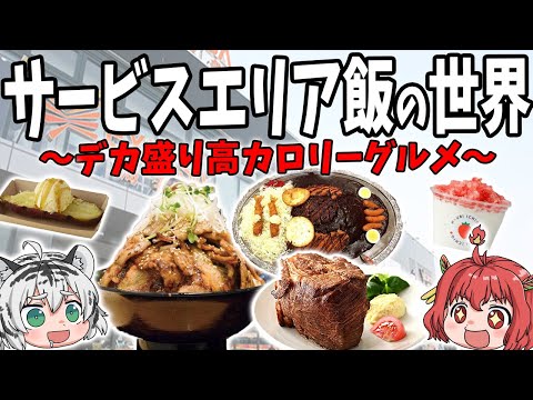 【立ち寄らずにいられない】意外と知らない！サービスエリア飯の世界