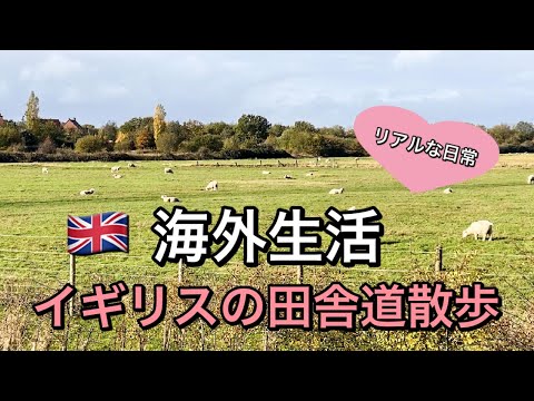 【海外生活】イギリスの田舎道散歩 リアルなのんびり日常