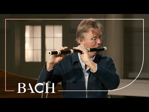 Bach - Flute sonata in E minor BWV 1034 - Root | Netherlands Bach Society