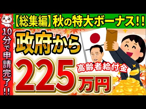 【国からの特別ボーナス!】98％が知らない！申請しないと100万円以上大損する超お得な神制度！年金生活者支援給付金などを徹底解説！【2024年最新/高齢者･年金受給者/申請方法/総集編】