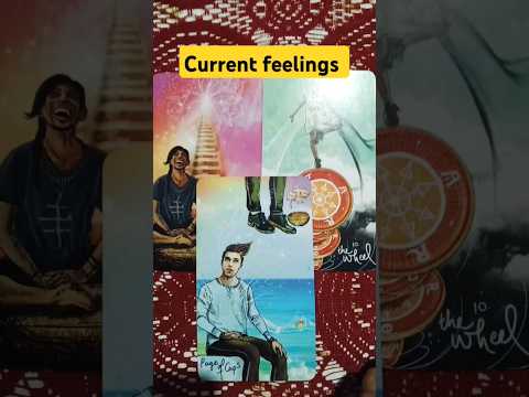 🪷Current feelings of your person #viralvideo #viralshorts #trending #trendingshorts #tarot #feelings