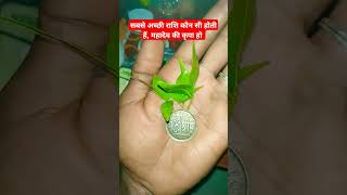 सबसे अच्छी राशि कौन सी होती हैं, महादेव की कृपा हो #viral #horoscope #astrology #rashi #mahadev #yt