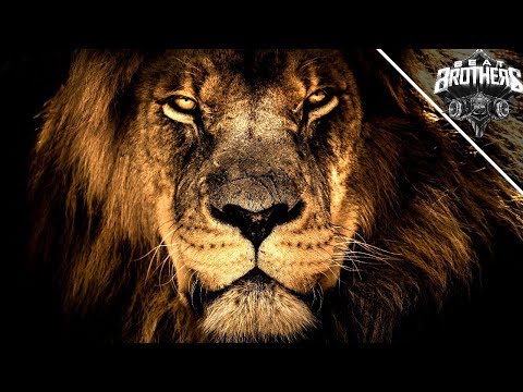 [FREE] MOTIVATIONAL STRING VOICE RAP BEAT ►LION KING◄ | Instrumental 2019