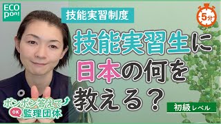 【技能実習制度】技能実習生に日本の何を教える？～これが成功だ！と感じた３つの秘訣～