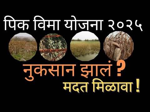 "शेतकऱ्यांसाठी मोठी बातमी! अर्ज प्रक्रिया सोपी केली"Kisan Yojana 2025|#indianfarmers #agriculture