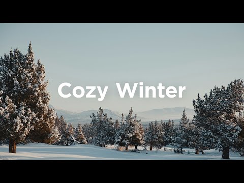 Cozy Winter ❄️ Relaxing Vibes for Cold Nights | Chill Vibes