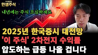 2025년 한국증시 대전망 '이 주식' 2차전지 수익률 압도하는 급등 나올 겁니다, 내년에는 한국증시 조심하세요 [인생주식]