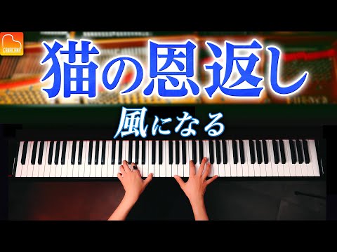 Kaze ni Naru - The Cat Returns - Ghibli - Piano - CANACANA