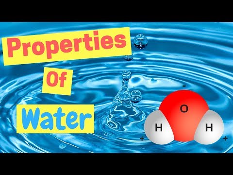 Properties of Water | Polarity | Hydrogen Bonds | Adhesion & Cohesion