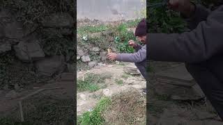 Village Game in Nepal #villagelifenepal #nepalirurallife #shortvideo