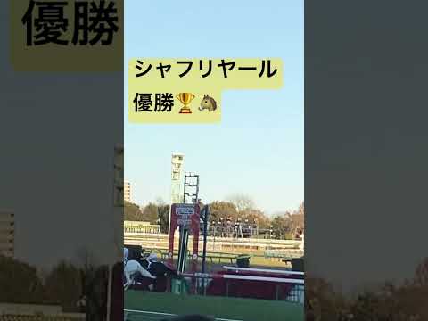 🐴有馬記念いかがでしたか？