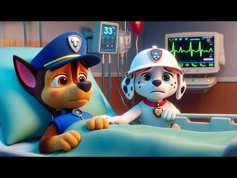 Paw Patrol Ultimate Rescue | Please Wake Up CHASE , Don't GIVE UP?! Very Sad Story | Rainbow 3