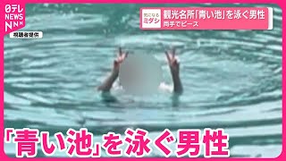 【青い池】観光名所の池を泳ぐ男性  両手でピース