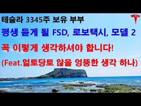 평생 듣게 될 FSD, 로보택시, 모델2 꼭 이렇게 생각하셔야 합니다! (feat. 얼토당토 않을 엉뚱한 생각 하나)