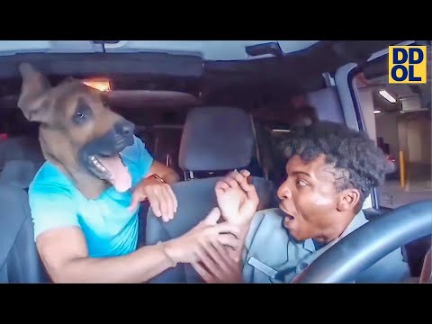 Try Not To Laugh Challenge! Funny Pranks and Scare Cam Fails 2024 #5