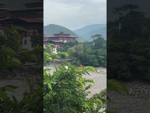 #punakha #thimphubhutan