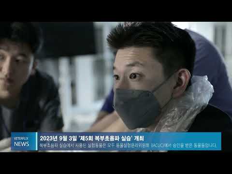 [베터플릭스] 2023년 5차 복부 초음파 실습