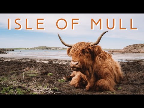 One Week on The Isle of Mull, Scotland - Top Things to See and Do