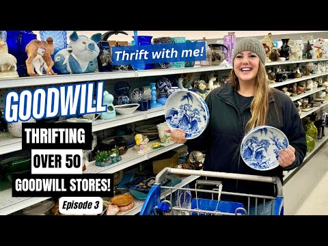 THE GOODWILL STORES WERE LOADED! THRIFTING OVER 50+ GOODWILL THRIFT STORES! Thrift With Me Episode 3