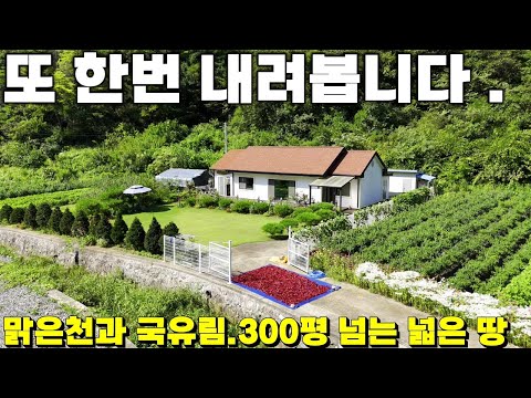 251.🚨가격내림 "깨끗한 물과 넓은 마당과텃밭 그리고 푸른 숲(국유림)이 어우러진 🏡 천국같은전원주택매물공개! " 제천땅집부동산TV