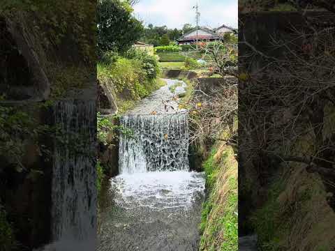 Waterfall in Japan #shorts #japan #walkingtour #walktour