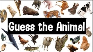 Quiz Game, Guess Animal #quizmaster #trending #kidsvideo #quiz #trendingshorts