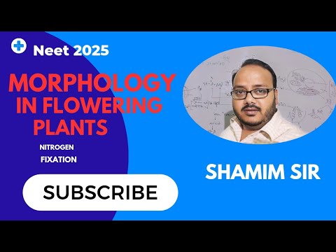 Nitrogen fixing|Morphology in Flowering plants 🪴|NEET