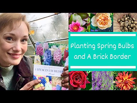 Planting Spring Bulbs in Pots and Building A Brick Border In My Cottage Garden