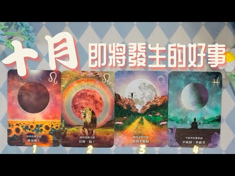 月份能量占卜之十月份將會迎來的好事！宇宙安排了什麼驚喜？【蜜拉塔羅占卜MilaSpiritualTarot】