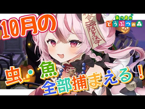 【 あつ森 / 朝活 】１０月の虫・魚をコンプリートするまで終われない！🦇【#ぬい縫い中 / #Vtuber 】