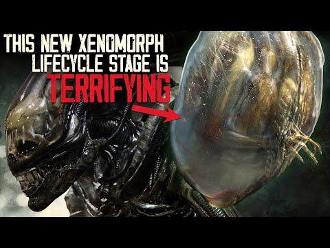 This NEW Xenomorph Lifecycle Stage Is TERRIFYING.