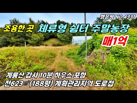 [매매가 1억]도로접 하우스 포함  계룡산 갑사 10분 체류형쉼터 주말농장 전원주택지 토지매매 공주 부동산 급매물~농가주택 시골집 전원주택매매 행운땅 행운집 부동산TV