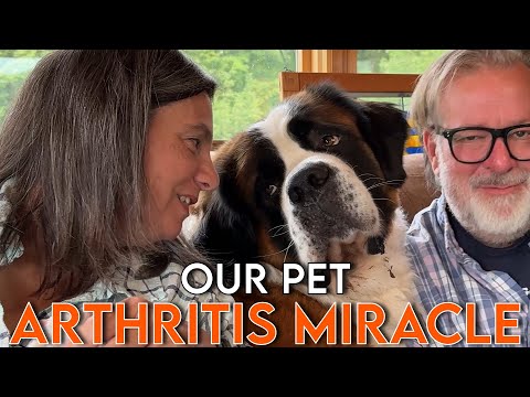 The Arthritis Miracle for Pets