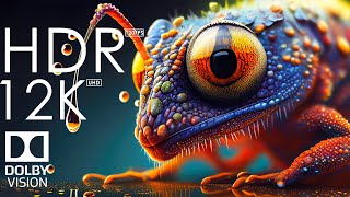 12K HDR 60fps Dolby Vision - Colorful World Animals - Sound Animals