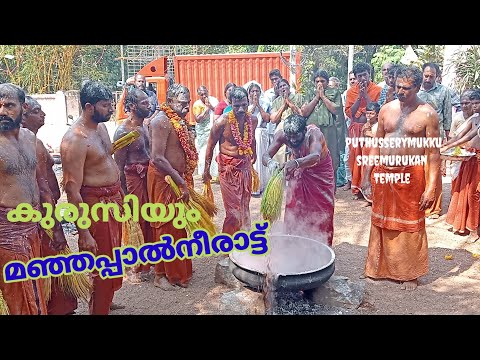 മഞ്ഞപ്പാൽ നീരാട്ട് #manjalileneeradi | ശ്രീ മുത്താരമ്മക്ഷേത്രം പുതുശ്ശേരിമുക്ക് 2025