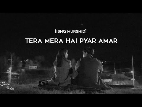 Tera mera hai pyar amar ❤️(lyrics) - Ishq Murshid [OST] #trending