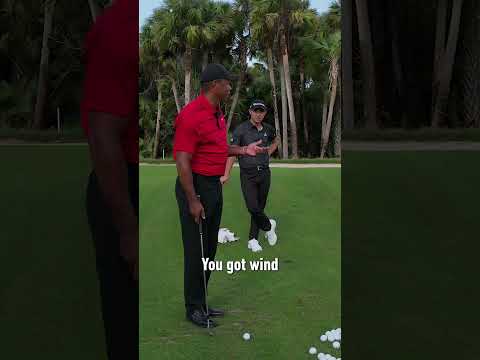 Tiger Woods' short game secrets with Collin Morikawa. #TaylorMade #shorts