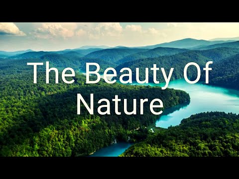 The Beauty of Nature: A Journey Through Earth’s Wonders