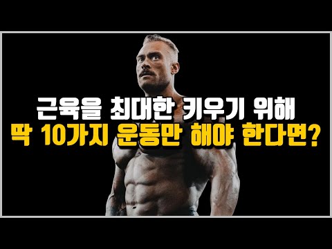 근육을 최대한 키우기 위한 10가지 운동