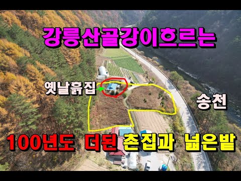 강릉산골 강이흐르는 100년이상된옛날흙집과 넓은밭/정말 집터좋은자리/주변환경완전 청정지역/양지바른곳/강릉부동산매매/강릉토지매매