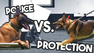 Police K9 vs  Protection Dogs