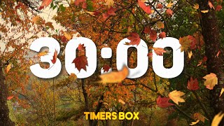 30 Minute Autumn Timer with Relaxing Music 🍂