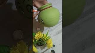 old Matka reuse flower Pot #handmade #shortvideo #youtubeshort