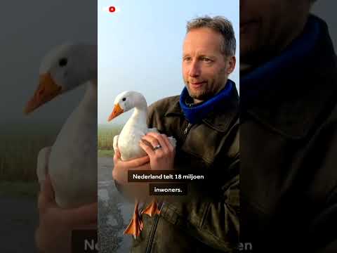 Het jaaroverzicht 2024 in (iets meer dan) 2 minuten