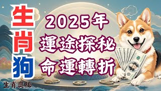 2025年，生肖狗全年運勢探秘，有轉折，把握機遇！屬狗人一定要看！#財運 #貴人相助#屬狗人2025年運勢 #生肖狗2025年運勢 #屬狗人2025年運程