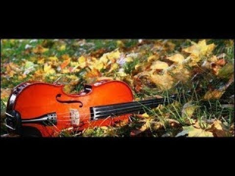 〖爱在深秋 - Love in the late autumn 〗中国18把小提琴曲 陈蓉晖领奏 美醉了！