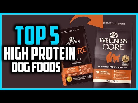 ✅Top 5 Best High Protein Dog Foods in 2025