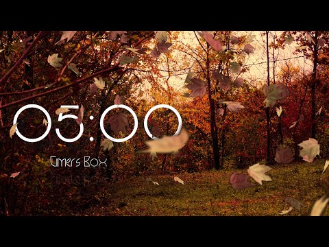 5 Minute Autumn Fall Timer, No Music, No Alarm ⏳🍂